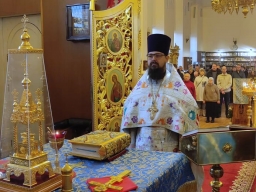 Неделя Двадцать пятая по Пятидесятнице. Введение во храм Пресвятой Владычицы нашей Богородицы и Приснодевы Марии