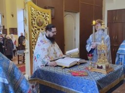 Неделя Двадцать пятая по Пятидесятнице. Введение во храм Пресвятой Владычицы нашей Богородицы и Приснодевы Марии