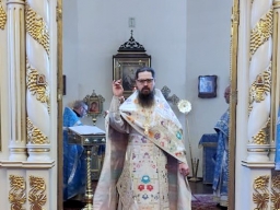 Неделя Двадцать пятая по Пятидесятнице. Введение во храм Пресвятой Владычицы нашей Богородицы и Приснодевы Марии