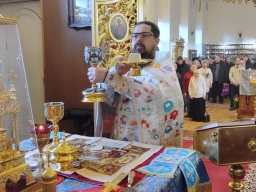 Неделя Двадцать пятая по Пятидесятнице. Введение во храм Пресвятой Владычицы нашей Богородицы и Приснодевы Марии