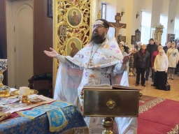 Неделя Двадцать пятая по Пятидесятнице. Введение во храм Пресвятой Владычицы нашей Богородицы и Приснодевы Марии